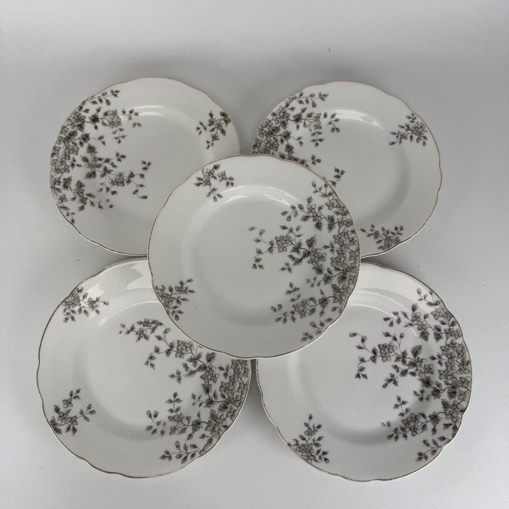 VINTAGE ANTIQUE CARLSBAD AUSTRIA BREAD/SALAD PLATE SET OF 5